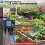 RAINPOINT Temporizador de Riego 3 Zonas - Precio : 600 Bs