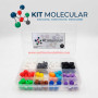 Kit de Modelos Moleculares de 256 Piezas | Química Orgánica e Inorgánica - Precio : 300 Bs