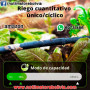 SONOFF Programador de Riego Automatico - Precio : 500 Bs